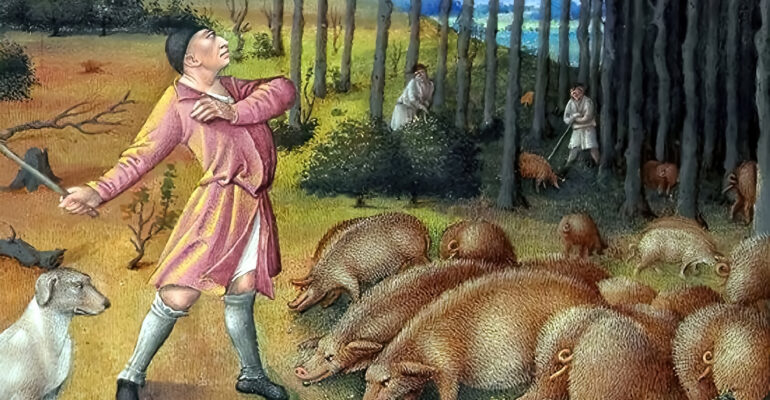 Skąd Kazimierz Wielki miał buty?